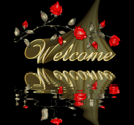 bienvenu sur mon blog