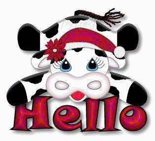 hello