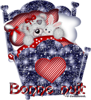 bonne nuit